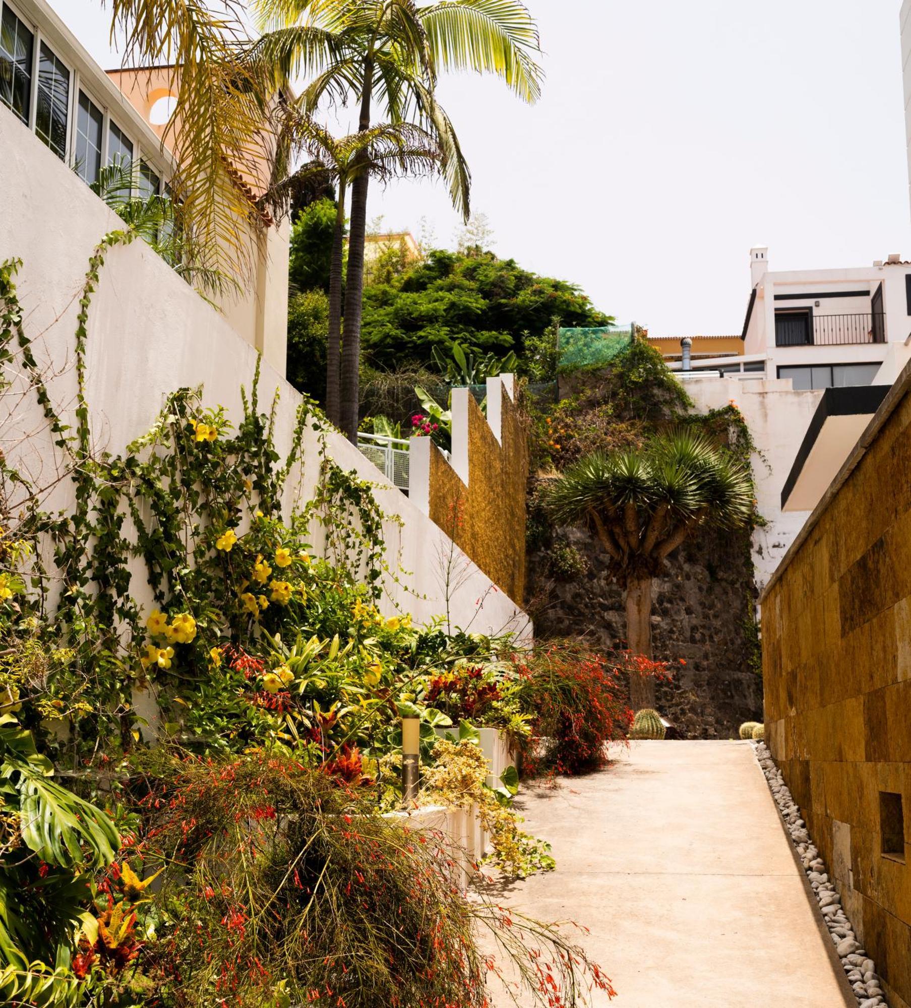 Villa Laurisilva サウサル エクステリア 写真
